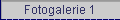 Fotogalerie 1