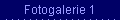 Fotogalerie 1